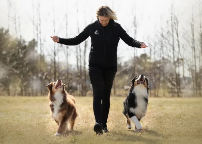 Individuel coaching