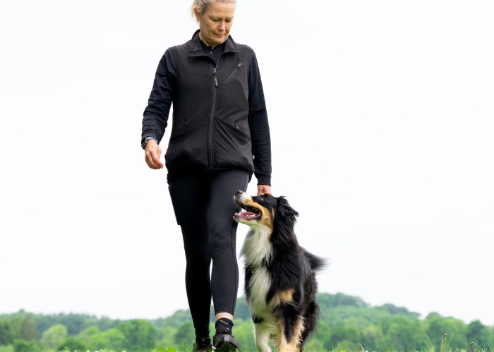 Lydighedstræning for hunde