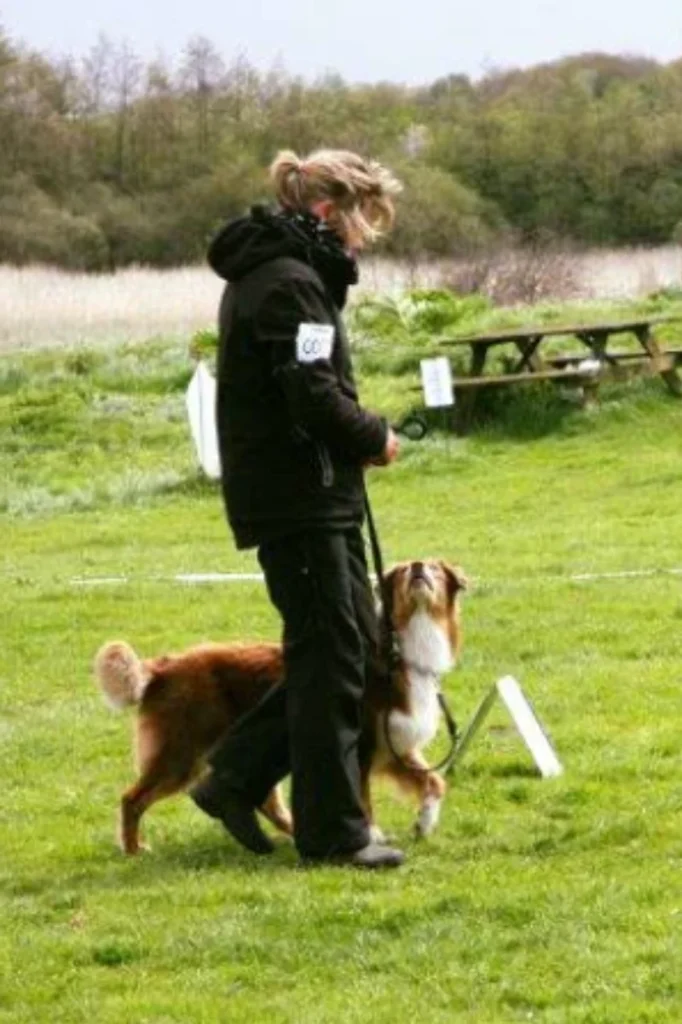 Rally lydighed og træning med MMhund